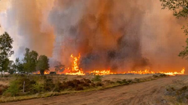 Beelden van natuurbrand op militair oefenterrein bij ’t Harde, deel A28 dicht