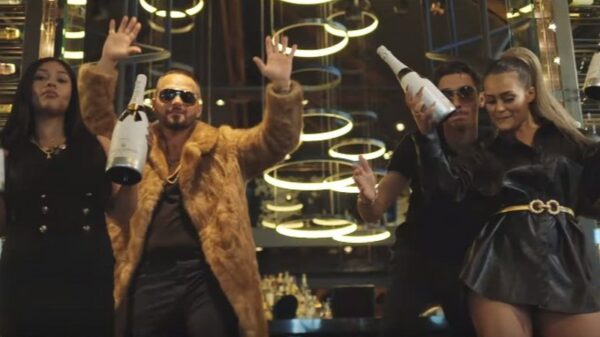 De muzikale monsterhit van de week: El Gitano x Willem H (Gipsy Maffia) - Pop Die Champi