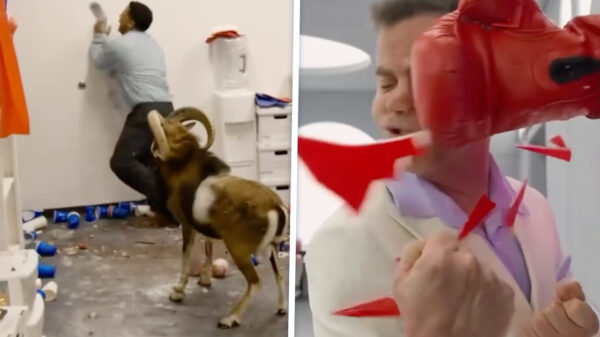 Pijn, bloed en pure idiotie: Jackass is terug voor één laatste rondje slopen