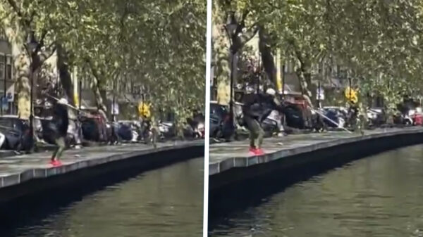 Dit is dus speervissen, maar dan midden in Rotterdam