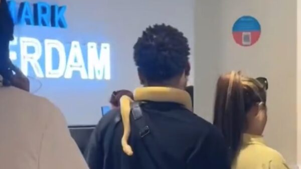 Even met je huisdier de Primark in Rotterdam in