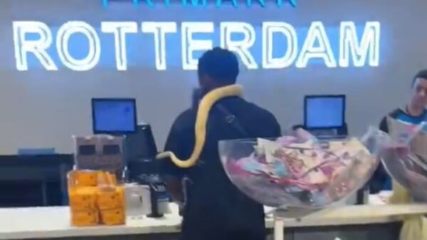 Even met je huisdier de Primark in Rotterdam in