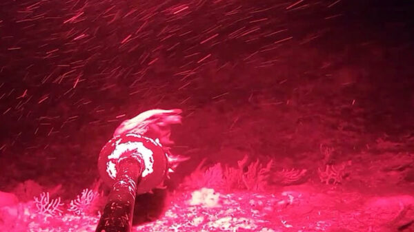 Man laat voor het eerst nachtcamera in diepzee zakken en vindt dingen die hij ‘niet kan uitleggen’
