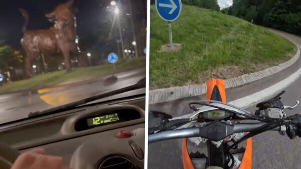Trend onder kansenparels op TikTok: "Ga rechtdoor op de rotonde"