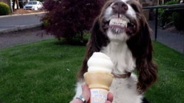 Picdump (4614)