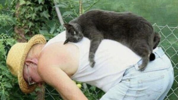 Picdump (4615)