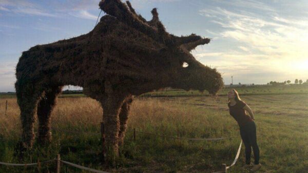 Picdump (4622)