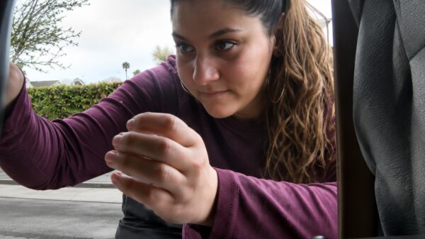Camerabeelden tonen hoe aso's massaal eieren jatten bij boer