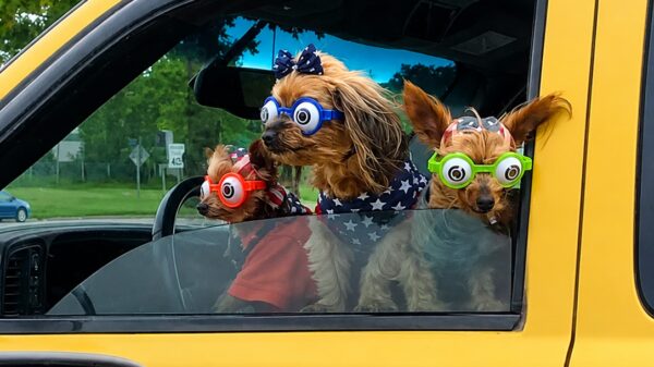 Picdump (4628)
