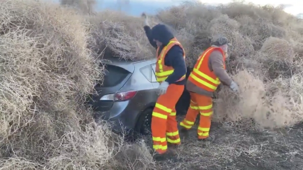 Auto's in Washington na 10 uur bevrijd uit storm van rollend tumbleweed