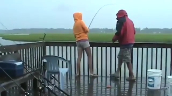 Wie zei er ook weer dat vissen saai was?