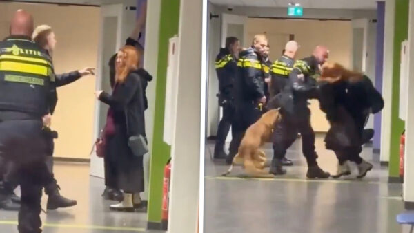 Zwangere vrouw op de grond gesmeten door agent met (ogenschijnlijk) kort lontje