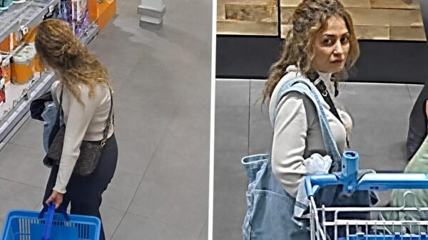 Kansloze griet steelt portemonnee van oudere vrouw tijdens supermarktbezoek