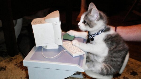 Picdump (4645)