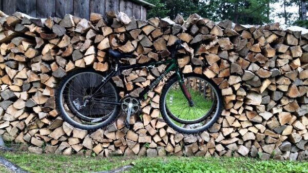 Picdump (4648)