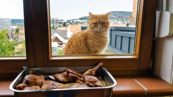 Picdump (4648)
