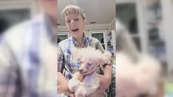 Vrouw en hond zijn al een tijdje overleden