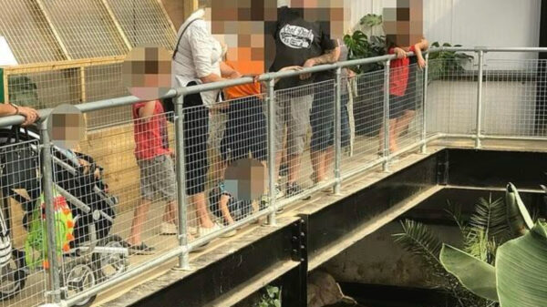 Ziek: Peuter in krokodillenverblijf gegooid door 30-jarige man uit Norfolk
