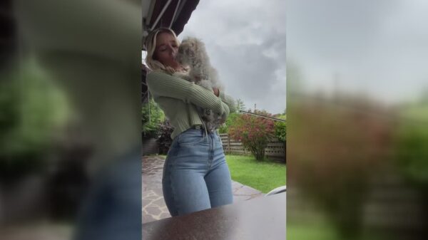 Kijk eens wat voor schattige hond ik heb!