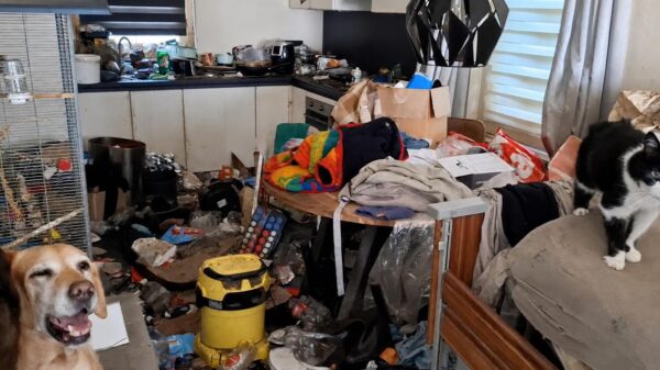 Honden, katten en vogels uit extreem vieze woning gehaald in Elburg: "vuilnisbelt"