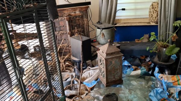 Honden, katten en vogels uit extreem vieze woning gehaald in Elburg: "vuilnisbelt"