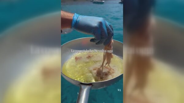 Calamari sissend in de pan