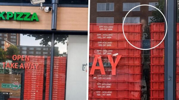 Ratten houden feestje bij de New York Pizza in Rotterdam Keizerswaard