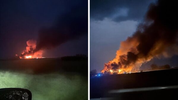 Dikke fik bij boerderij in Toornwerd na blikseminslag, twee kalfjes overleden