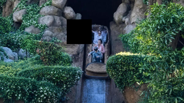 Tiener valt uit attractie in Disneyland en klettert 15 meter naar beneden