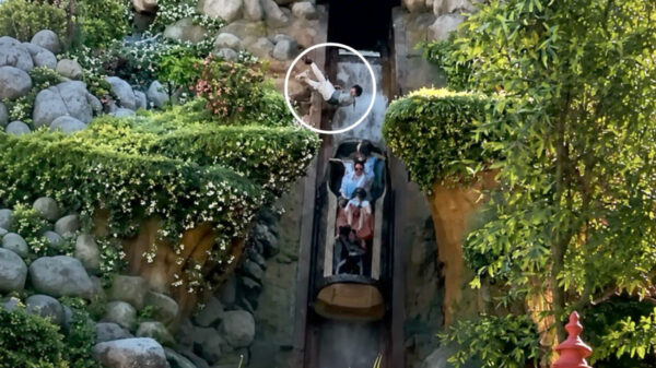 Tiener valt uit attractie in Disneyland en klettert 15 meter naar beneden