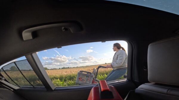 Video: Galbakken met waterpistolen verpesten verkoeling op zomerse dag