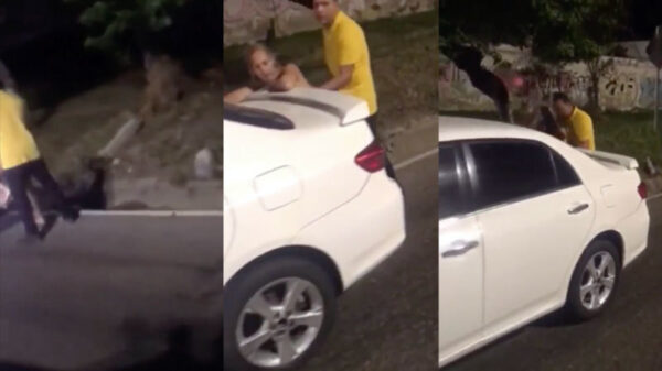 Sommige stelletjes kun je beter niet filmen tijdens hun nachtelijke avontuurtjes