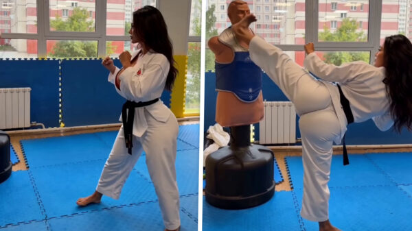 Jackie Chan met rondingen trapt oefenpop met perfecte achterwaartse poeier