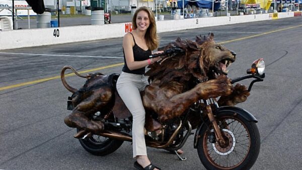 Picdump (4680)