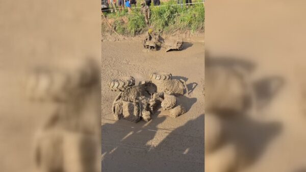 Hij zit behoorlijk under de mudder