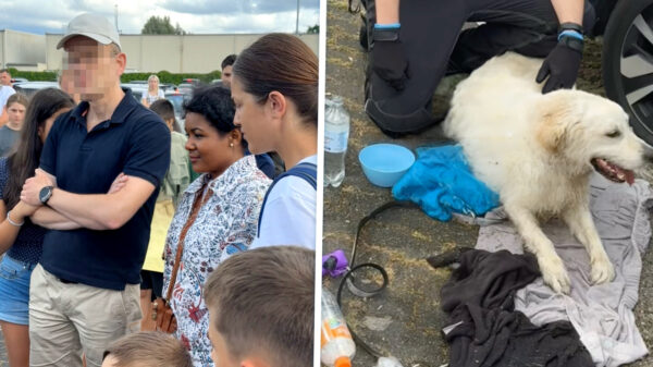Dit is de man die zijn hond in een bloedhete auto bij Movie Park Germany achterliet