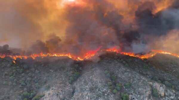 Heftige bosbrand in Andalusië eist elf levens, negentien mensen nog vermist