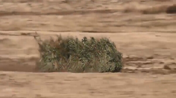 Ultra hi-tech camouflage maakt militair voertuig nauwelijks met het blote oog te zien