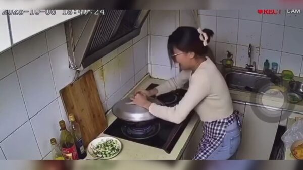 Wat eten we vanavond?