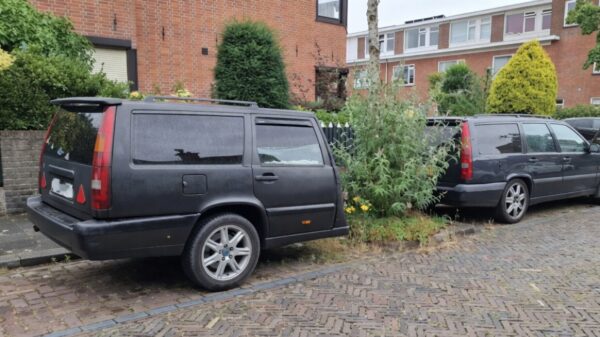 Picdump (4705)