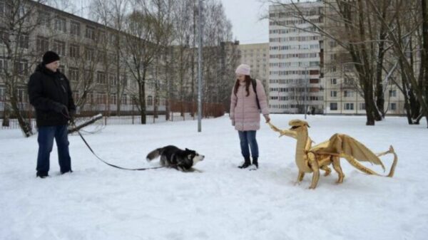 Picdump (4706)