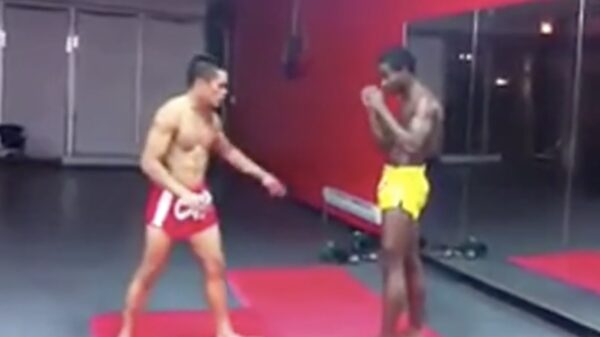 Stoere bink wilde wel eens weten of Muay Thai-vechters écht zo hard kunnen trappen