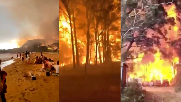 De bizarre cijfers achter de catastrofale bosbranden in Australië