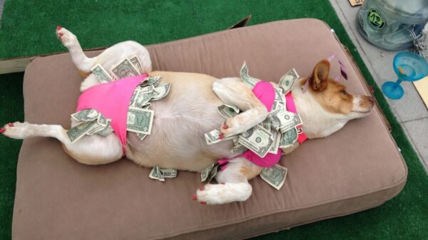 Picdump (4719)