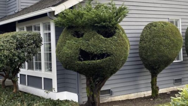 Picdump (4721)