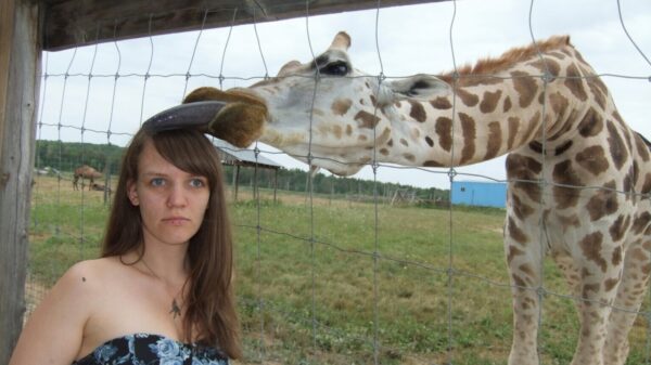 Picdump (4722)
