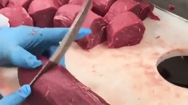 Dat is potverdomme nog eens een scherp mes!