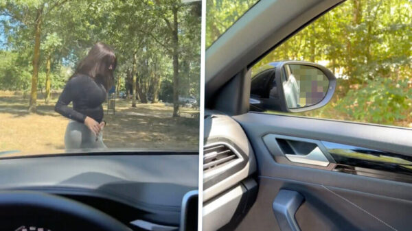 Vriendin moet plassen in het bos, vriend stelt snel de buitenspiegel af