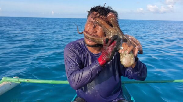 Octopus klemt zich vast aan visser en verstikt hem bijna terwijl hij erop inslaat