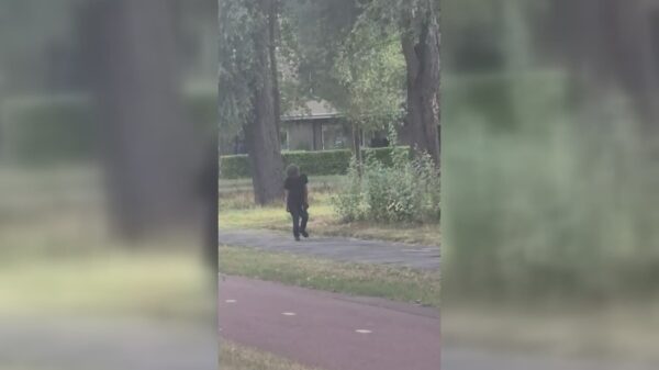Welkom in Rotterdam-Zuid